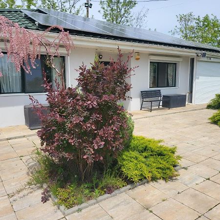 Casa Elis Piscina, Jacuzzy , Sauna, Ciubar Merei Bagian luar foto