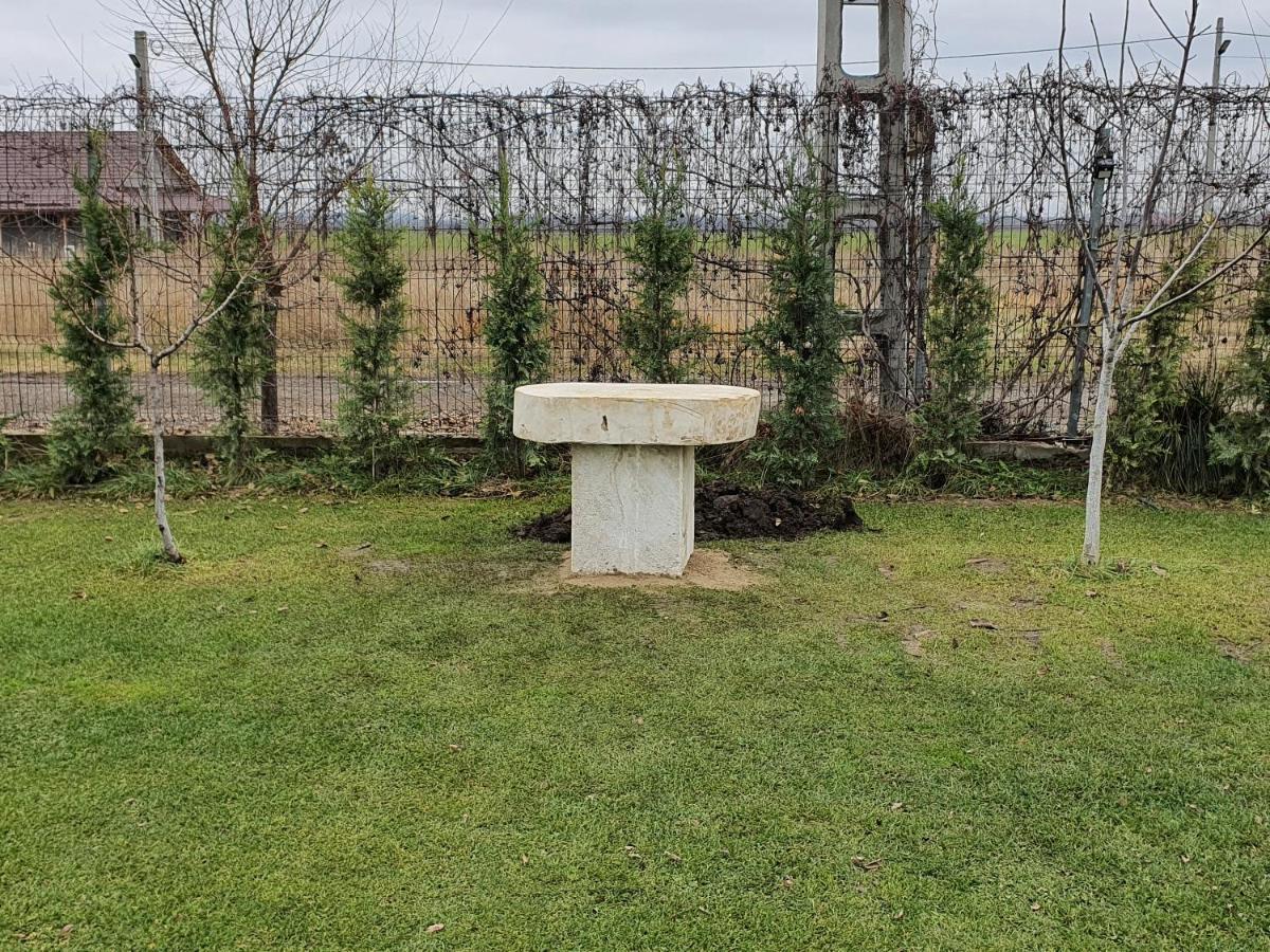 Casa Elis Piscina, Jacuzzy , Sauna, Ciubar Merei Bagian luar foto