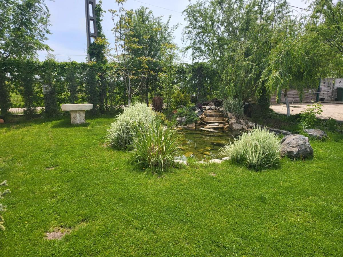 Casa Elis Piscina, Jacuzzy , Sauna, Ciubar Merei Bagian luar foto